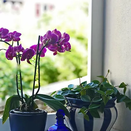 Hébergement de vacances House Romeo